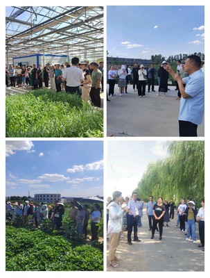 外出觀摩拓視野 農技人員與農民 聯合培訓促發展——榆林市蔬菜新技術及病蟲害綠色防控觀摩培訓會側記